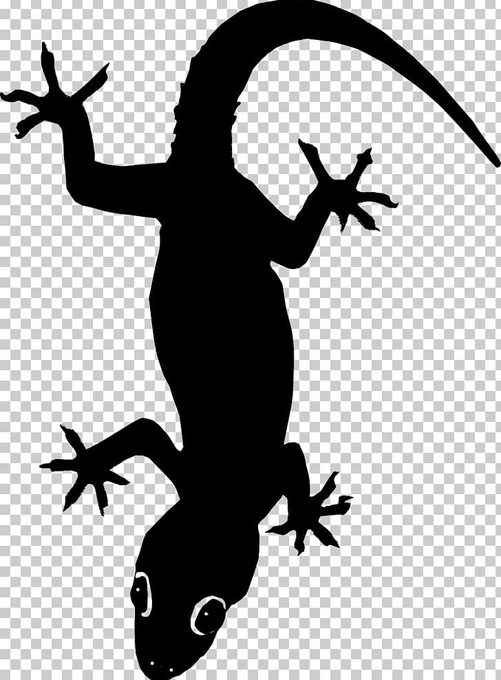 Lizard PNG, Clipart, Amphibian, Artwork, Basilisk, Black And White, Coloring Book Free PNG Download