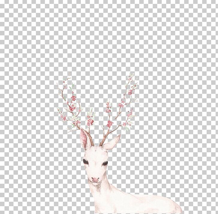 White-tailed Deer Drawing Red Deer Tattoo PNG, Clipart, Animals, Antler, Art, Branch, Cuteness Free PNG Download