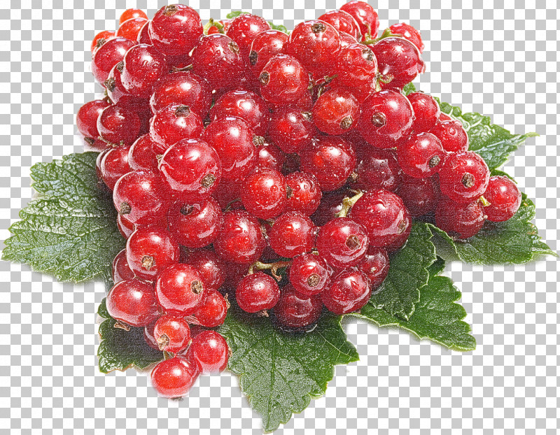 Berry Plant Fruit Seedless Fruit Currant PNG, Clipart, Berry, Currant, Flower, Food, Fruit Free PNG Download