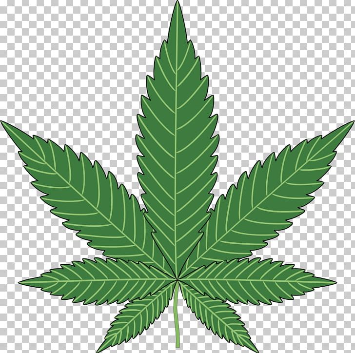 Cannabis Sativa Cannabis Ruderalis Butterfly Weed Marijuana PNG, Clipart, Blunt, Cannabidiol, Cannabis, Cannabis Cultivation, Cannabis Industry Free PNG Download