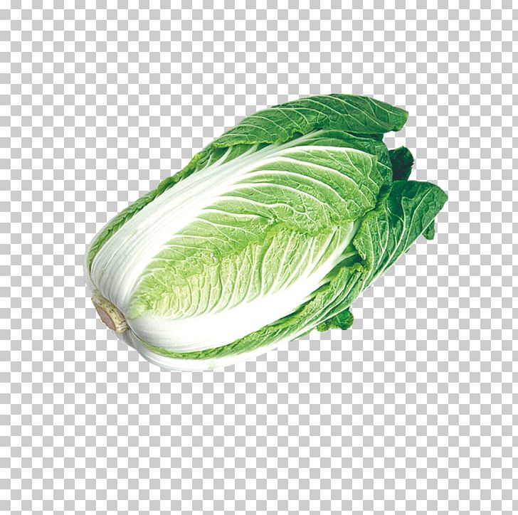 Chinese Cabbage Napa Cabbage Umami Vegetable PNG, Clipart, Cabbage, Cauliflower, Chinese, Chinese Cabbage, Farmers Market Free PNG Download