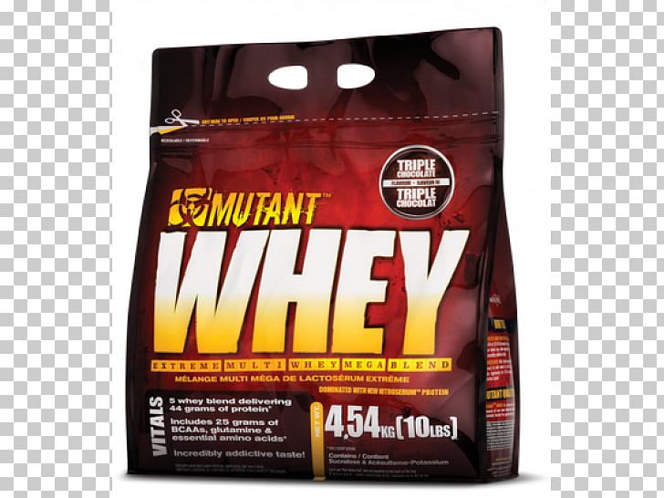 Dietary Supplement Whey Protein Bodybuilding Supplement PNG, Clipart, Bodybuilding Supplement, Branchedchain Amino Acid, Brand, Dietary Supplement, Highprotein Diet Free PNG Download