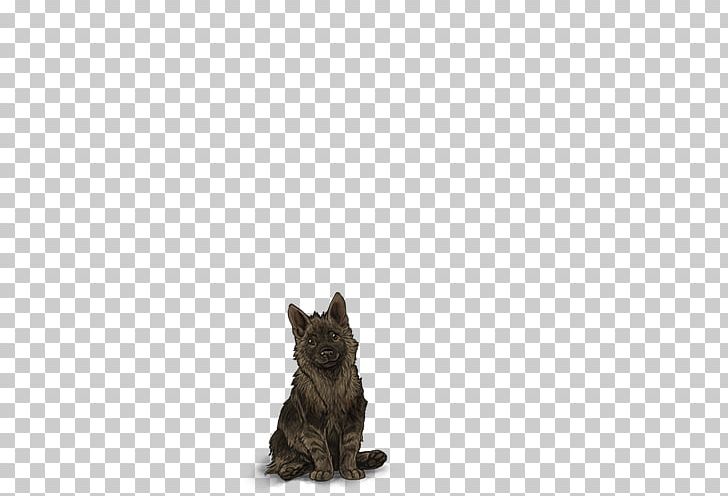 Cairn Terrier Scottish Terrier Cat Puppy Dog Breed PNG, Clipart, Animals, Cairn Terrier, Canidae, Carnivora, Carnivoran Free PNG Download