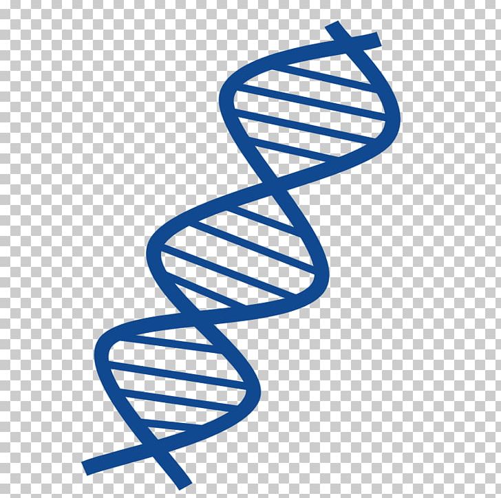 DNA Nucleic Acid Double Helix Free Content PNG, Clipart, Area, Clip Art, Computer Icons, Dna, Dna Cliparts Free PNG Download