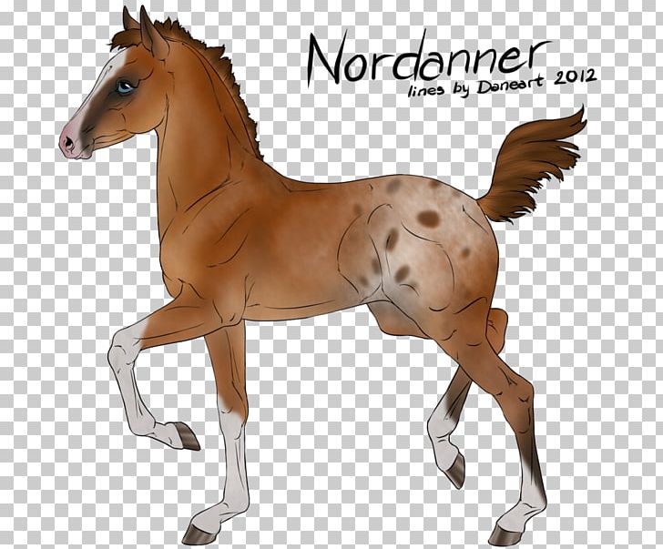 Mustang Foal Colt Mare Stallion PNG, Clipart, Animal Figure, Colt, Flying Horses, Foal, Gray Free PNG Download