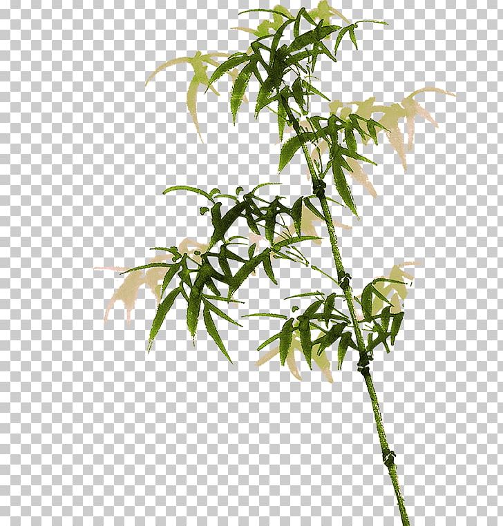 Bamboo Bambusa Oldhamii PNG, Clipart, Art, Blue, Branch, Chinese New Year, Chinese Style Free PNG Download
