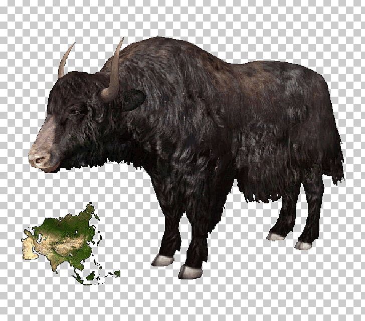 Domestic Yak Tibet Cattle American Bison Ox PNG, Clipart, American Bison, Animal, Bison, Bovinae, Bull Free PNG Download