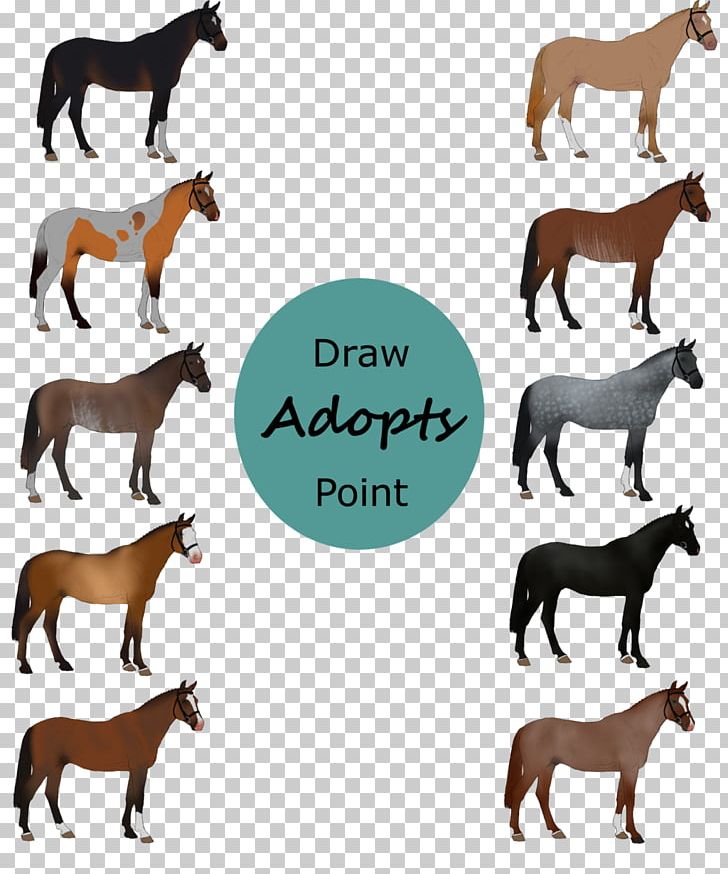 Mustang Andalusian Horse Appaloosa Carthusian Arabian Horse PNG, Clipart, Animal Figure, Appaloosa, Arabian Horse, Buckskin, Colt Free PNG Download