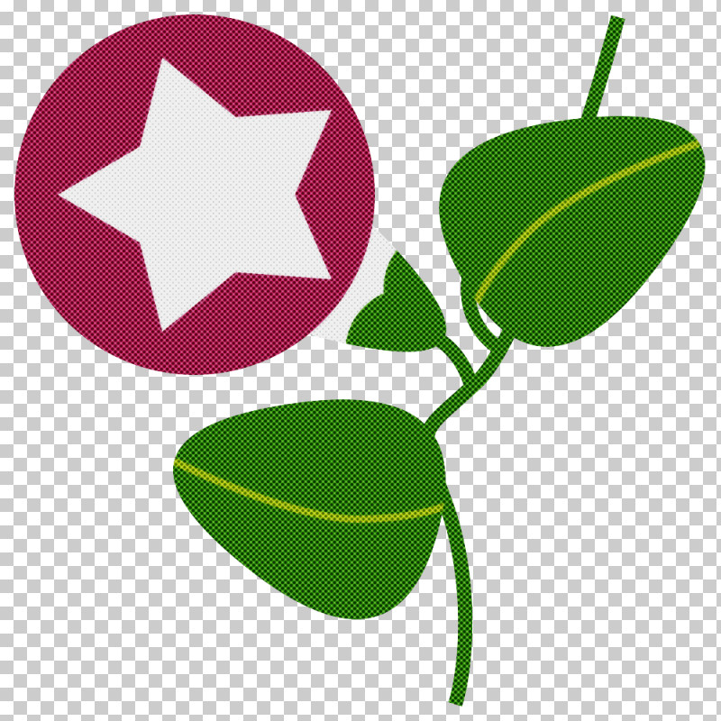 Rose PNG, Clipart, Branch, Bud, Common Holly, Flower, Franklinia Free PNG Download