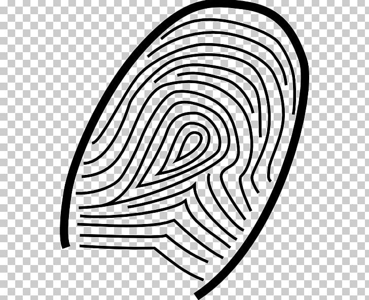 Fingerprint Live Scan Computer PNG, Clipart, Area, Black And White, Circle, Clip, Color Free PNG Download