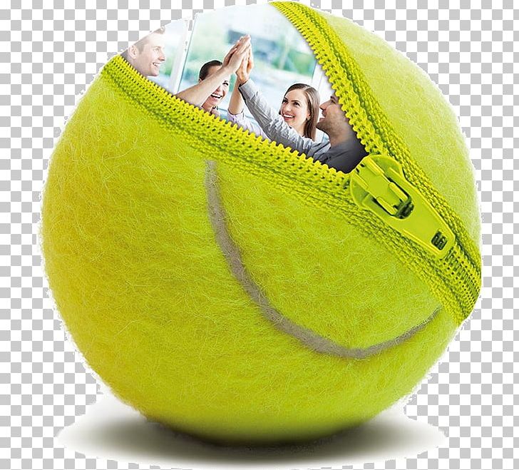 Insurance Assuréa Contract Tennis Balls Assicurazioni Generali PNG, Clipart,  Free PNG Download