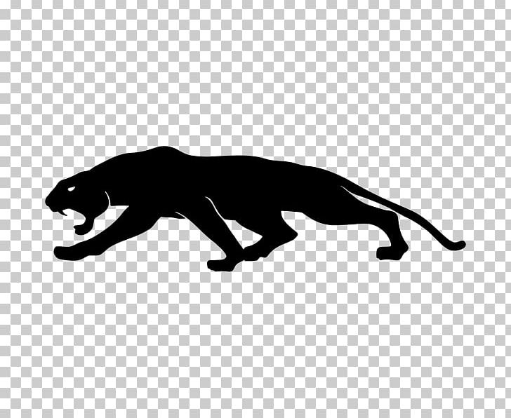 Cat Bumper Sticker Leopard PNG, Clipart, Big Cats, Black, Black Pan, Bumper, Bumper Sticker Free PNG Download
