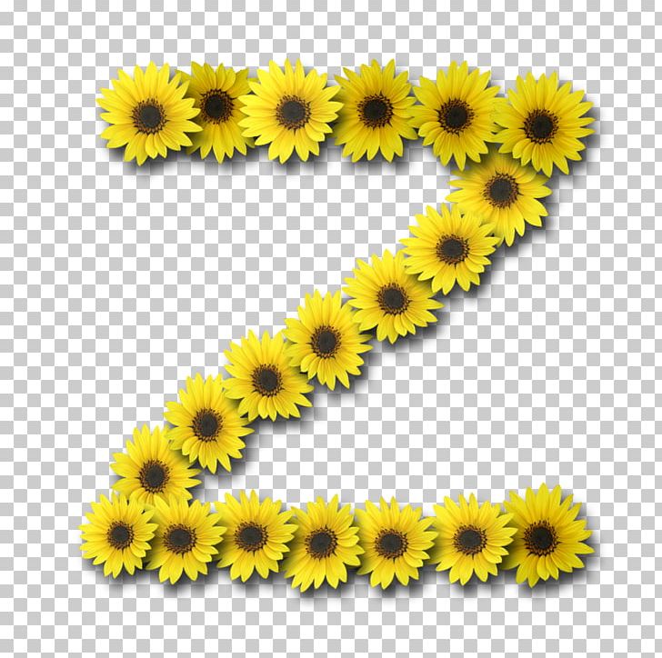 Common Sunflower Letter Information Alphabet PNG, Clipart, Alphabet, Blog, Chrysanths, Common Sunflower, Daisy Family Free PNG Download