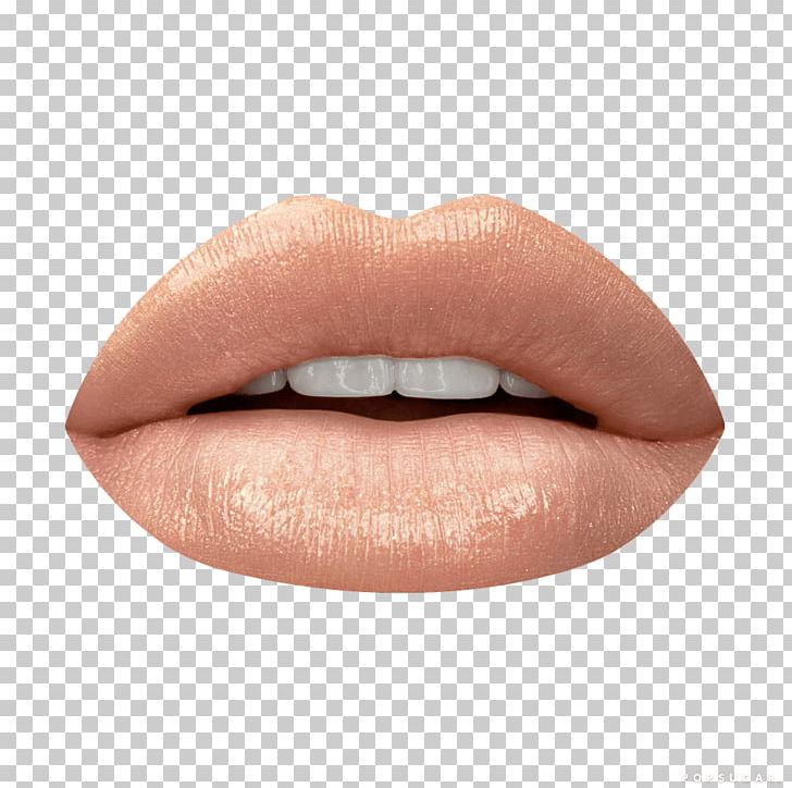 Cosmetics Lip Gloss Color Beauty PNG, Clipart, Beauty, Cheek, Chin, Color, Cosmetics Free PNG Download