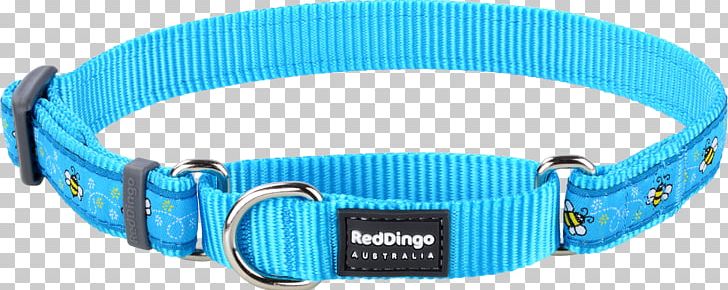 Dingo Dog Collar Martingale Leash PNG, Clipart, Aqua, Black, Blue, Bone, Collar Free PNG Download