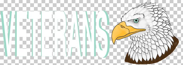 Eagle Beak Bird Wing PNG, Clipart, Animals, Beak, Bird, Bird Of Prey, Curriculum Free PNG Download