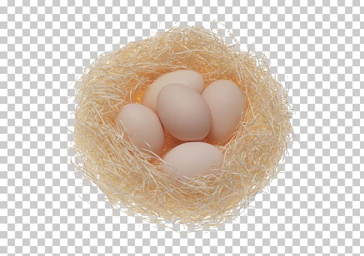 Fried Egg Chicken Egg Scrambled Eggs PNG, Clipart, Animals, Bird Nest, Broken Egg, Chicken, Chicken Egg Free PNG Download