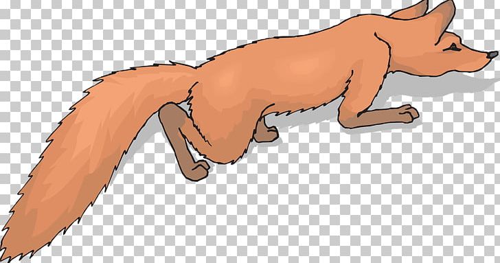 Red Fox Foxtail PNG, Clipart, Animals, Bear, Big Cats, Carnivoran, Cartoon Free PNG Download