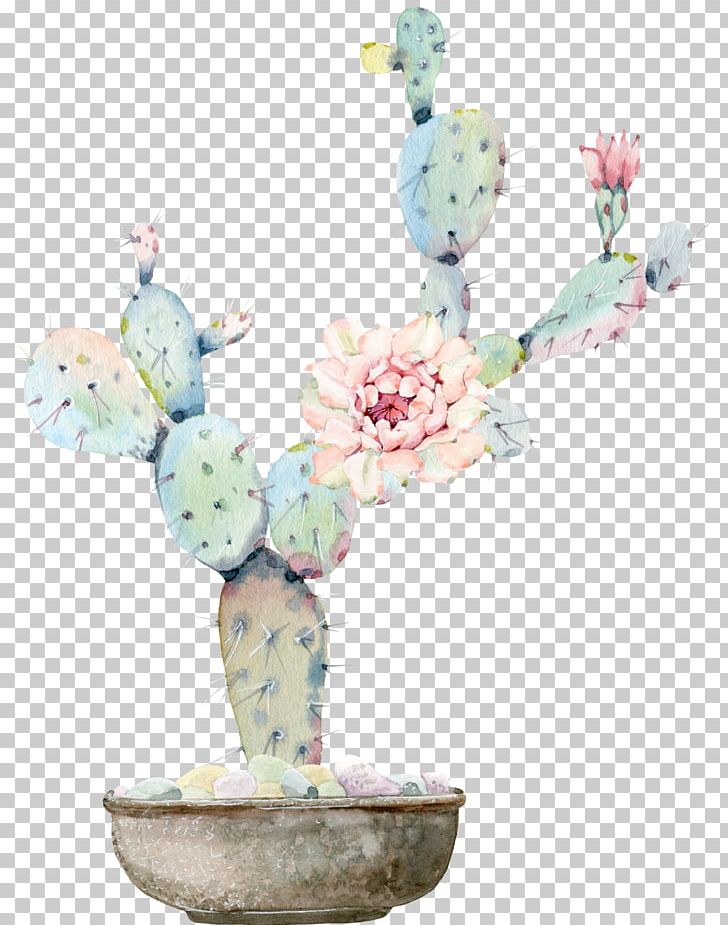 Watercolour Flowers Watercolor Painting Cactaceae Drawing PNG, Clipart, Botany, Cactus, Color, Color Splash, Flower Free PNG Download