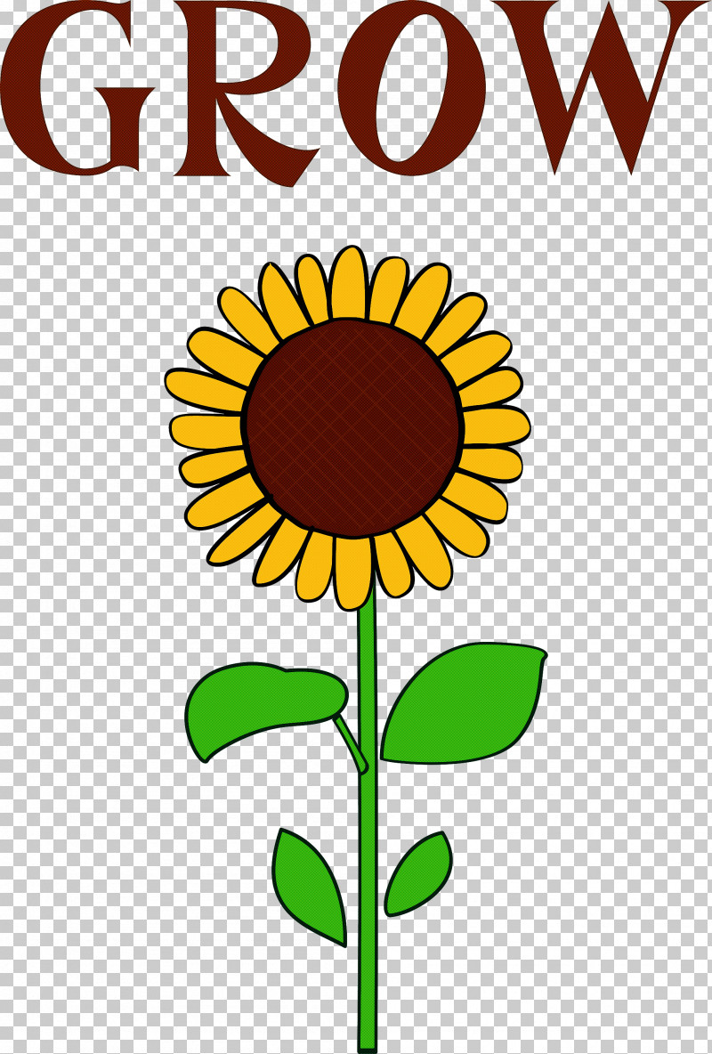 GROW Flower PNG, Clipart, Art Deco, Art Museum, Common Sunflower, Drawing, Floral Design Free PNG Download