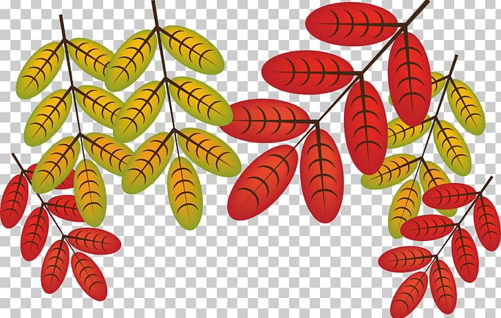 Autumn Leaves Leaf Deciduous PNG, Clipart, Autumn Vector, Butterfly, Designer, Download, Fall Leaves Free PNG Download