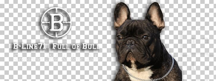 Dog Breed French Bulldog Old English Bulldog Olde English Bulldogge PNG, Clipart, Brand, Bulldog, Bull Terrier, Carnivoran, Clothing Free PNG Download
