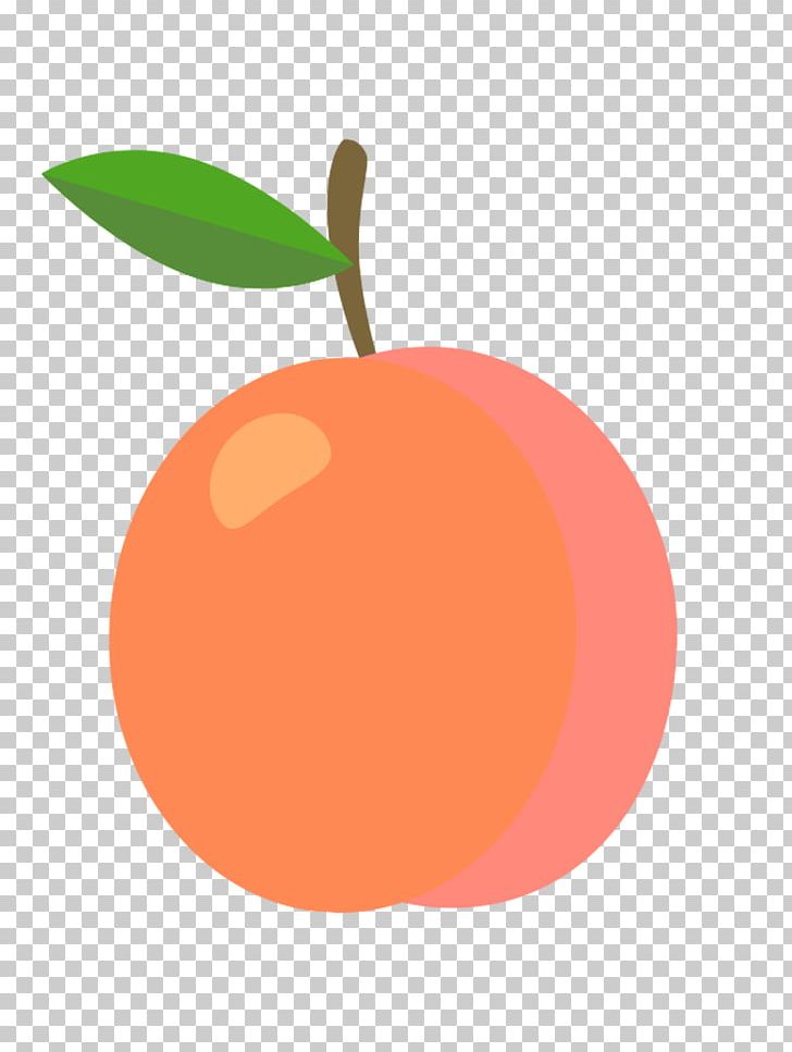Grapefruit Saint-Mamet Apricot Fruit Exotique PNG, Clipart, Apple, Apricot, Auglis, Circle, Citrus Free PNG Download