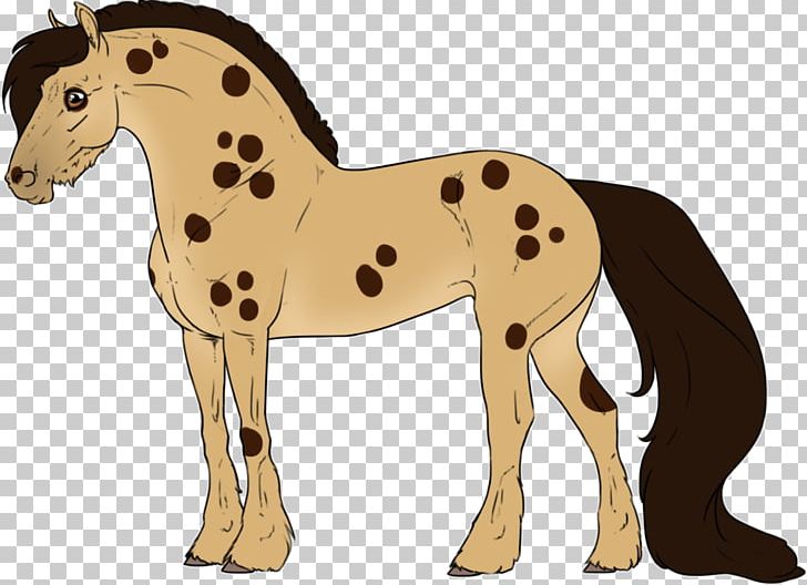 Mule Foal Stallion Mare Colt PNG, Clipart,  Free PNG Download