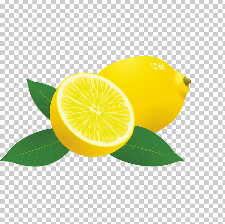 Sweet Lemon Persian Lime Lemon-lime Drink PNG, Clipart, Cancer, Citric Acid, Citron, Citrus, Food Free PNG Download