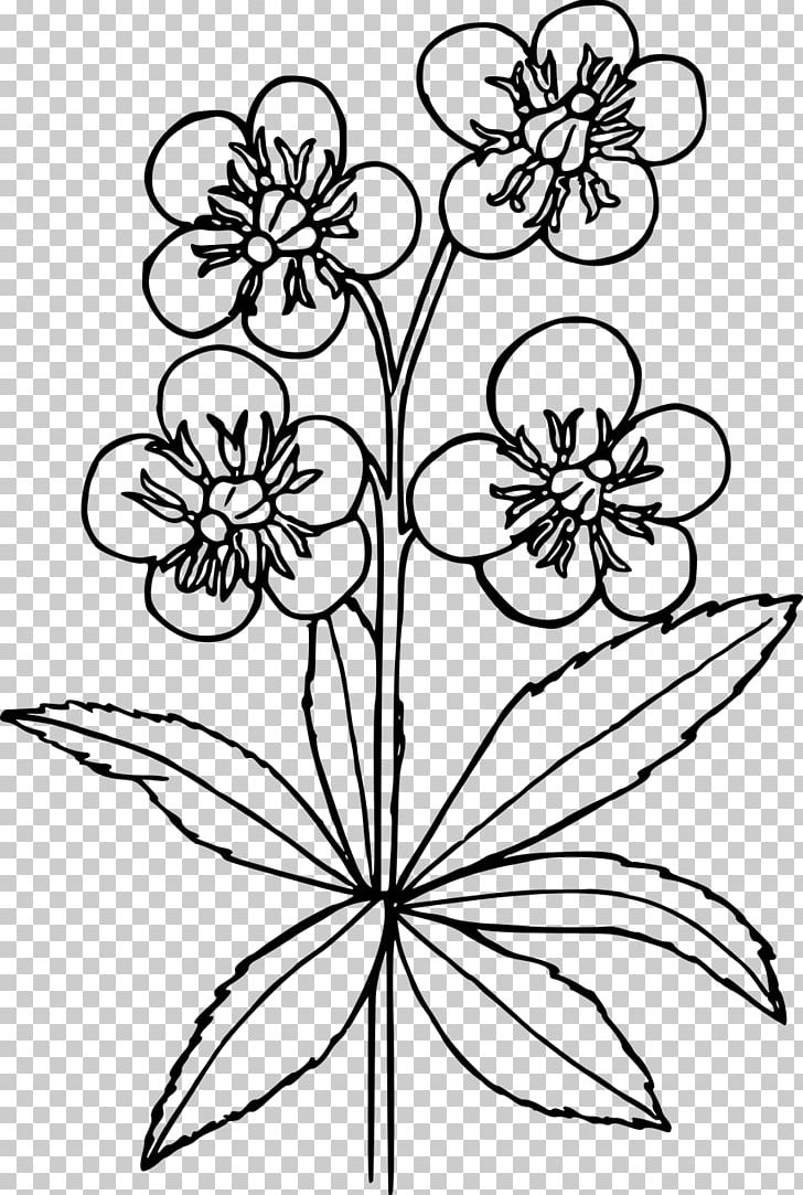 Wildflower Wall Decal Sticker Drawing PNG, Clipart, Art, Black And White, Child, Coloring Book, Cut Flowers Free PNG Download