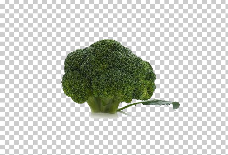 Broccoli Cauliflower Vegetable U7dd1u9ec4u8272u91ceu83dc PNG, Clipart, Brassica Juncea, Broccoli, Cauliflower, Food, Garlic Free PNG Download
