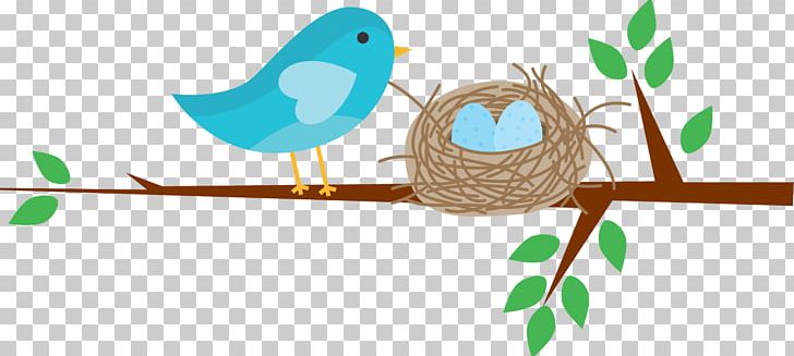 Branch Drawing PNG, Clipart, Beak, Bird, Branch, Child, Clothing Free PNG Download