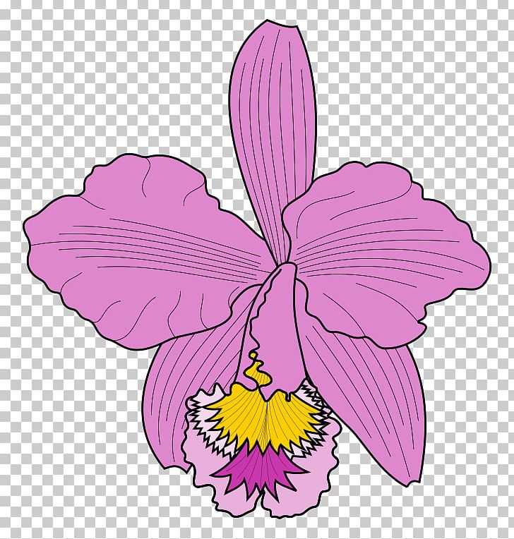 Cattleya Trianae PNG, Clipart, Cattleya, Cattleya Orchids, Display Resolution, File Size, Flora Free PNG Download