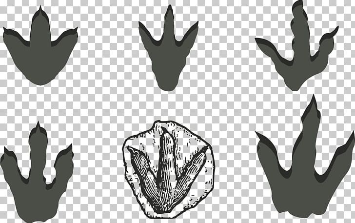 Dinosaur Footprints Reservation Stegosaurus PNG, Clipart, Antler, Black And White, Chinese Dragon, Claw, Dinosaur Free PNG Download