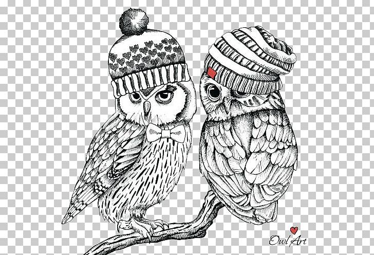 Little Owl Bird Illustration PNG, Clipart, Animal, Animals, Art, Athene, Beak Free PNG Download
