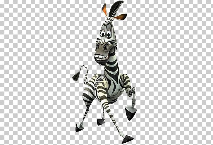 Rico Madagascar Animated Film DreamWorks Animation Iron-on PNG, Clipart,  Free PNG Download
