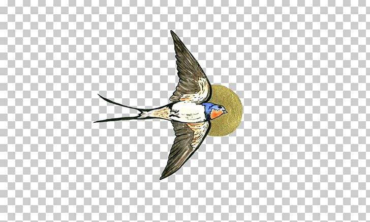 Beak Water Bird PNG, Clipart, Animals, Beak, Bird, Bird Art, Fauna Free PNG Download