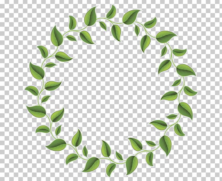 Leaf PNG, Clipart, Branch, Circle, Computer Icons, Download, Green Free PNG Download