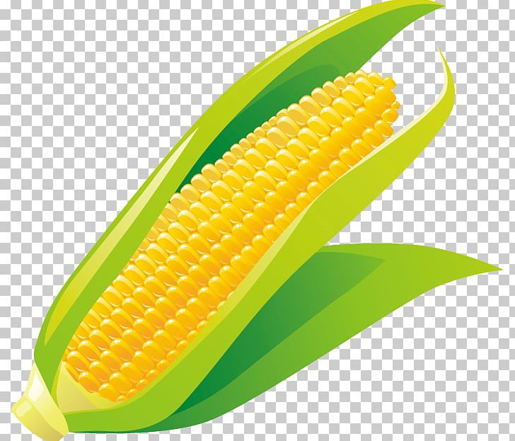 Corn On The Cob Corncob Maize PNG, Clipart, Cartoon, Cereal, Commodity, Corncob, Corn Kernels Free PNG Download