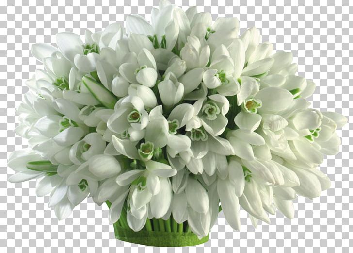 Galanthus Nivalis Flower Bouquet Cut Flowers Bulb PNG, Clipart, Artificial Flower, Bulb, Cut Flowers, Desktop Wallpaper, Embryophyta Free PNG Download