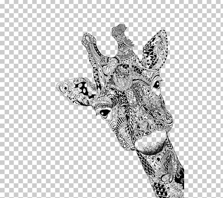Giraffe Drawing Portrait Doodle Sketch PNG, Clipart, Animals, Art, Black And White, Cartoon, Cartoon Giraffe Free PNG Download