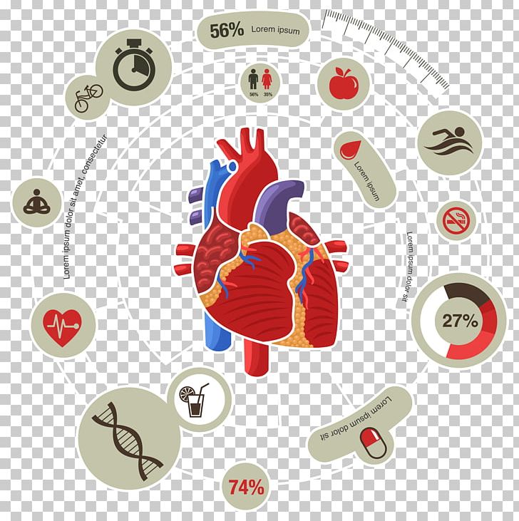 Myocardial Infarction Heart Cardiovascular Disease Symptom PNG, Clipart, American Heart Association, Bar Chart, Biology, Capsule, Cardiac Muscle Free PNG Download