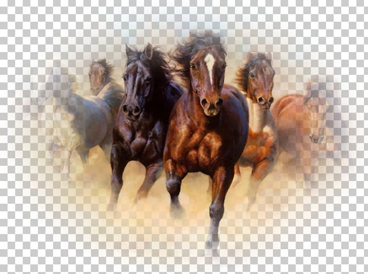 Horse Oil Painting Canvas Print PNG, Clipart, Animals, Art, Artist, Art Museum, At Resimleri Free PNG Download