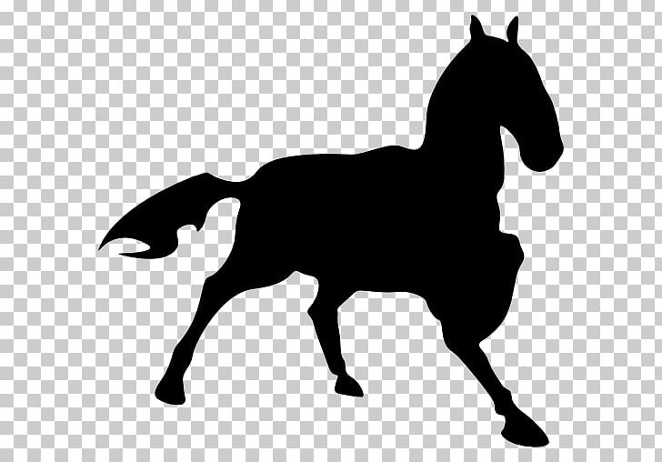 Mustang Stallion Foal Colt Mare PNG, Clipart, Black, Black And White, Colt, English Riding, Equestrian Sport Free PNG Download