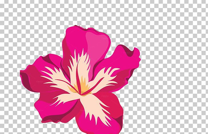 Tropics Desktop PNG, Clipart, Clip Art, Desktop Wallpaper, Deviantart, Flower, Flowering Plant Free PNG Download