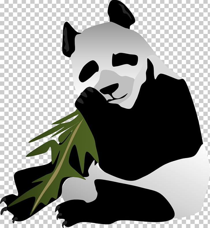 Bear Giant Panda Dog Mammal Carnivora PNG, Clipart, Animal, Animals, Bear, Black, Black M Free PNG Download