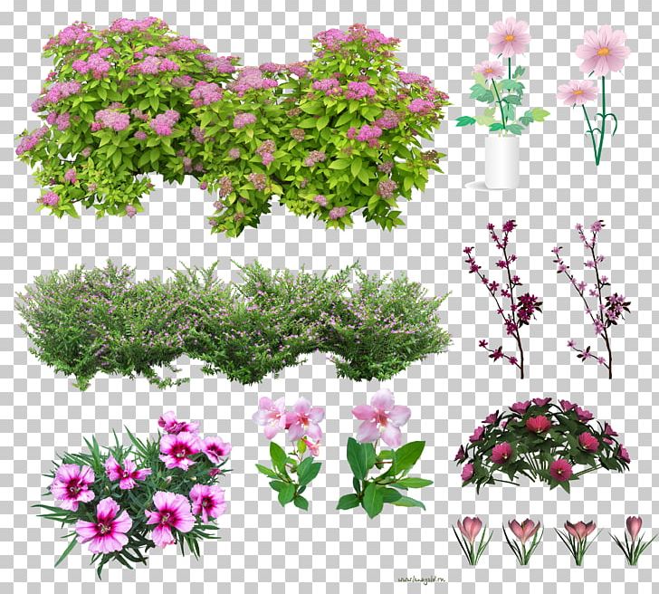 Cut Flowers Shrub PNG, Clipart, Annual Plant, Branch, Cut Flowers, Flora, Floral Design Free PNG Download
