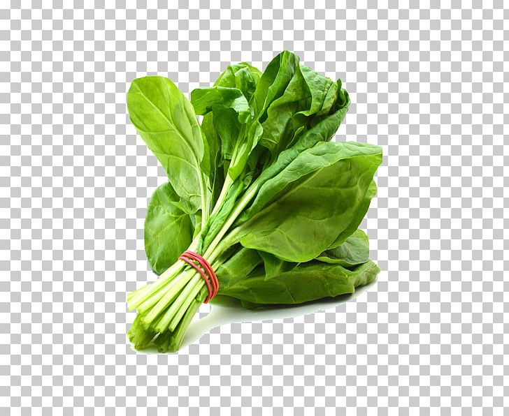 Spinach Leaf Vegetable Pakora Chard PNG, Clipart, Basil, Beetroot, Broccoli, Cauliflower, Celebrity Free PNG Download