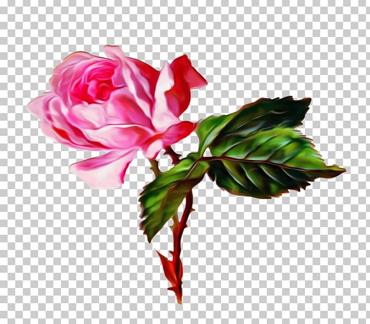 Flower Bouquet Garden Roses Gfycat PNG, Clipart, Animaatio, Artificial Flower, Blingee, Bud, Cut Flowers Free PNG Download