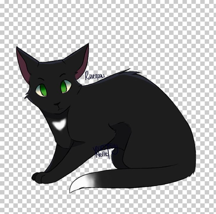 Kitten Black Cat Korat Domestic Short-haired Cat Whiskers PNG, Clipart, Animals, Art, Black Cat, Carnivoran, Cat Free PNG Download